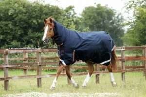 Premier Equine Titan Storm
