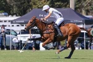 La Gauntlet of Polo, suspendida por 14 días