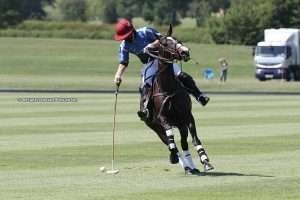 PINK POWER VS TARANTULA, EN VIVO POR POLOLINE TV