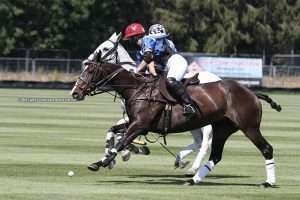 Black Bears Women’s: Tarantula ganó y se unió a Park Place y MJVH en semifinales
