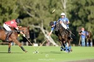 The Queen’s Cup: Les Lions Great Oaks y Park Place definen el certamen