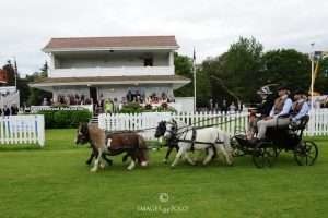 The Royal Windsor Cup kicks off