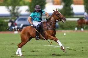 Coupe d’Or & Coupe de Bronze continue in Deauville