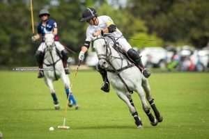 Debut con victoria para SD Farms en la CV Whitney Cup