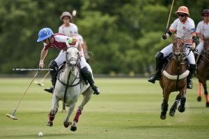 British Open: Nueva victoria para Marqués de Riscal y primera para Park Place