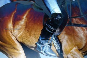 The role of a player’s legs in polo