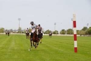 Dos partidos dieron inicio a la Sultan Bin Zayed Cup