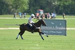 Si el clima lo permite, el jueves comenzará el Justerini & Brooks Prince of Wales Trophy
