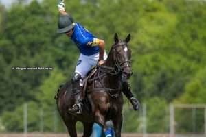 Park Place y Vikings, a la final del Justerini & Brooks Prince of Wales Trophy