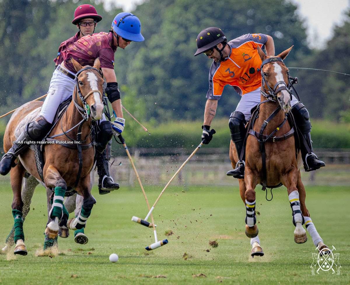 Trophée Bourbon – Final – Animales vs. Rinidia