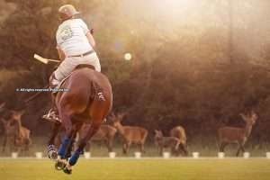 Se viene la primera Arena Singureni Polo Cup en Rumania