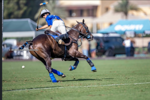 Jehangiri and Bin Drai will go for the EMAAR Cup