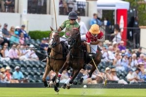 US Open: Clearwater and La Fe Eastern Hay, victorious on Sunday