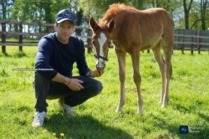 “BPP UK was created to help promote and recognise the equine athletes at the heart of the sport”