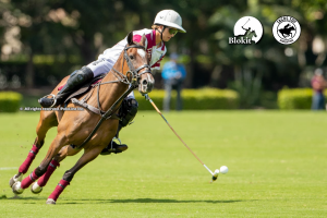 Technique: the lost language of polo